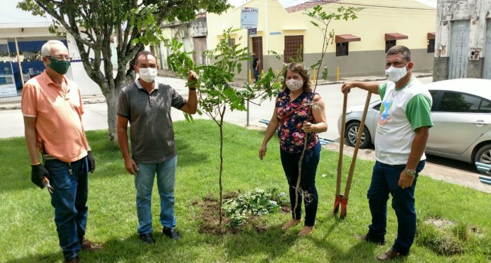 Meio Ambiente realiza plantio de mudas de Pau-Brasil em locais públicos