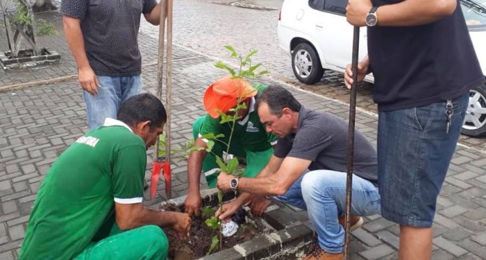 Prefeitura inicia serviço de arborização com plantio de mudas em área urbana 